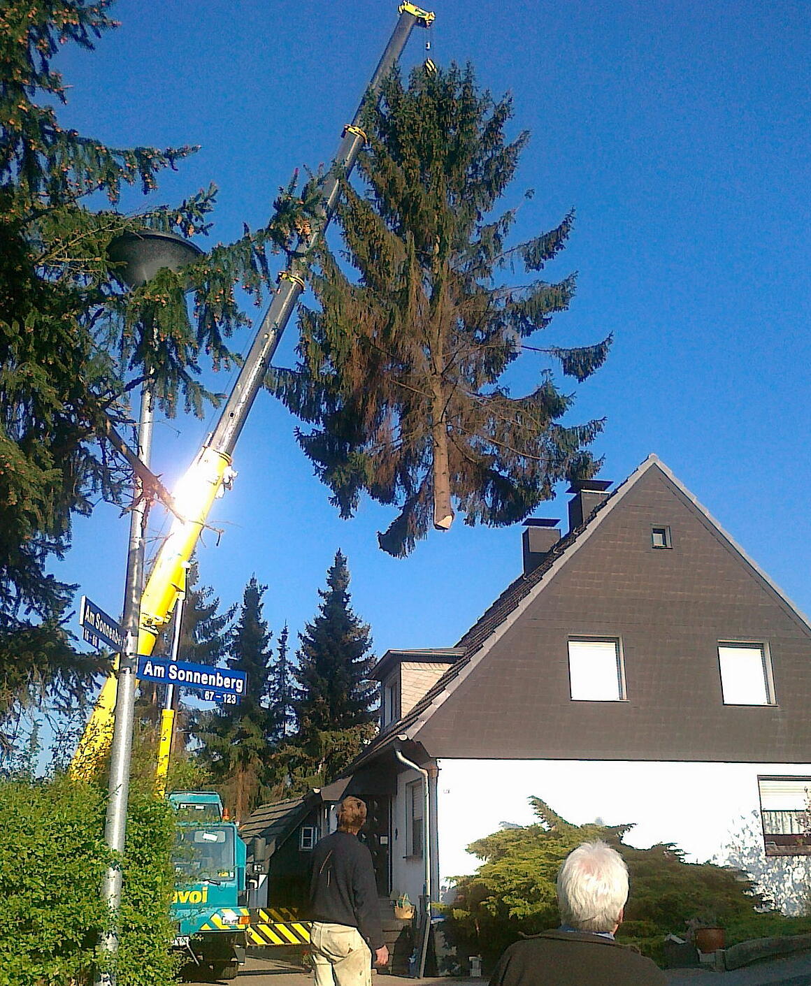 Baumfällungen01 Baumfällungen01